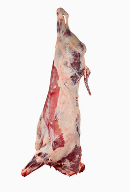 Halal Fresh Full Beef Carcass  (Deposit $500.00)
