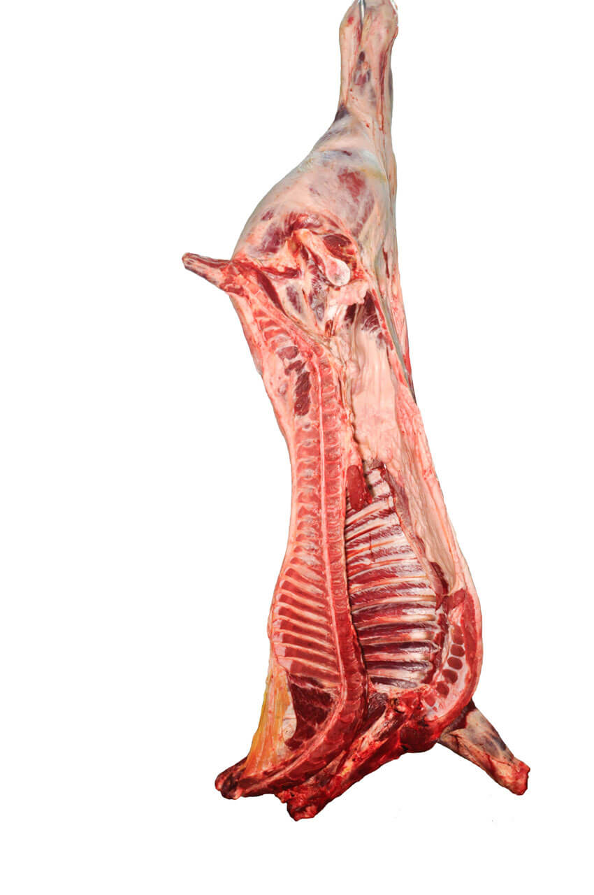 Halal Fresh Half Beef Carcass (Deposit $350)